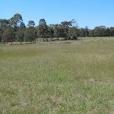 Camden Valley Way, Catherine Field1